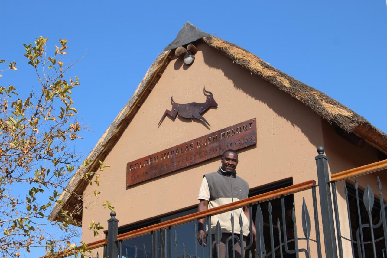 Golden Impalas Bush Resort Хаманскраал Екстериор снимка