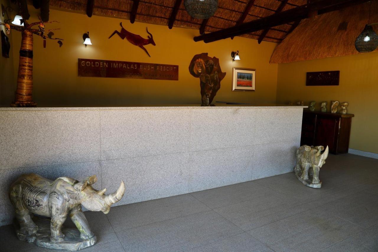 Golden Impalas Bush Resort Хаманскраал Екстериор снимка