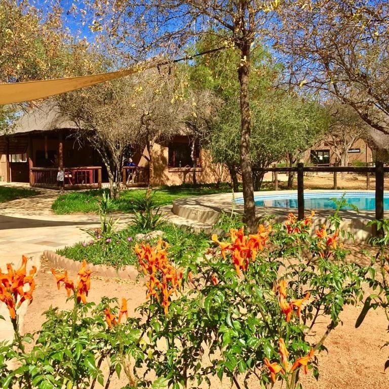 Golden Impalas Bush Resort Хаманскраал Екстериор снимка
